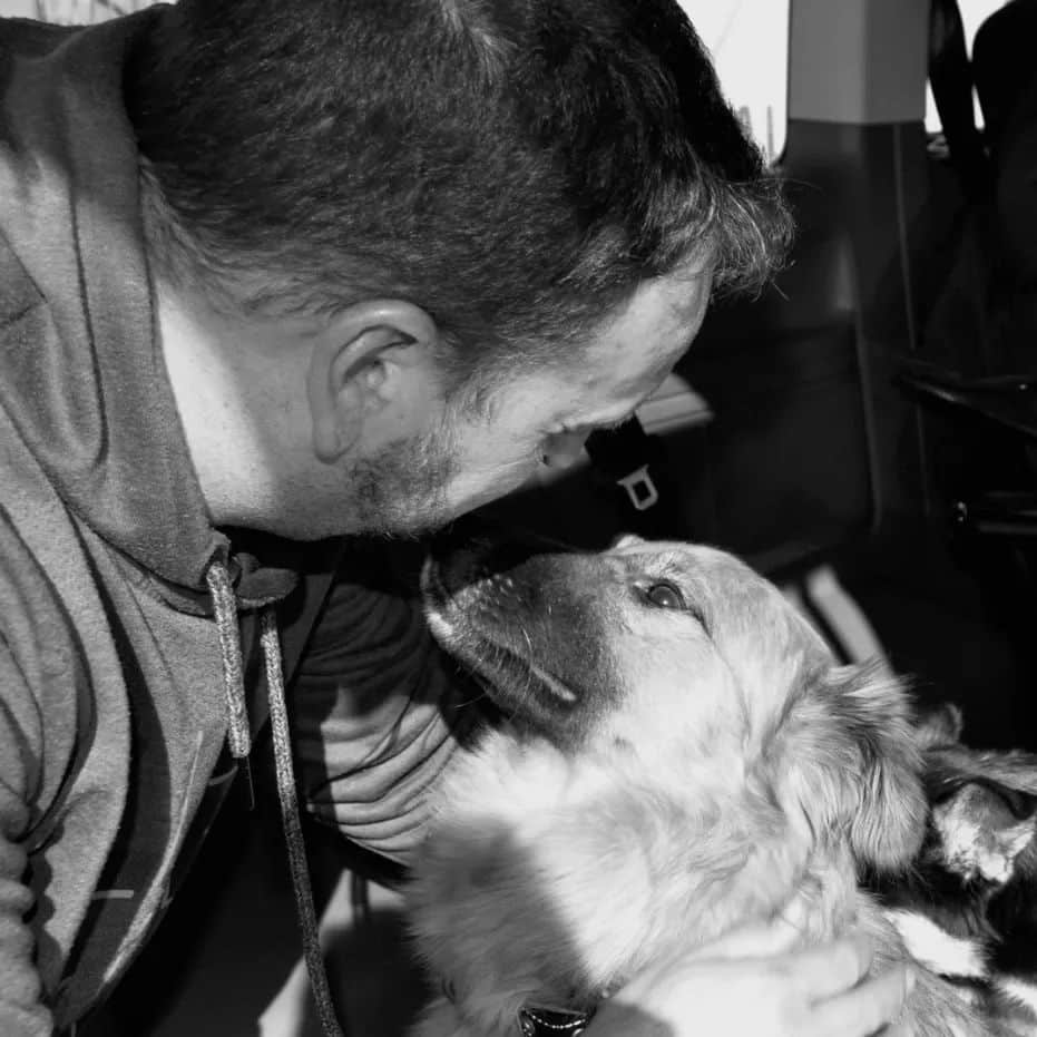 La fundación que viajó desde España a Ucrania para rescatar a 30 perros