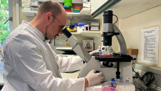 ¿Por qué se desmontó la última cabina telefónica en Nueva York?