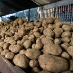 Precios compradores vendedores trabajos informales comercio comercios Canasta Básica Alimentaria Verduras, Frutas y Hortalizas Mercado mercados a cielo abierto Catia supermercados Ferias de hortalizas venezolanos calidad de alimentos ofertas economía