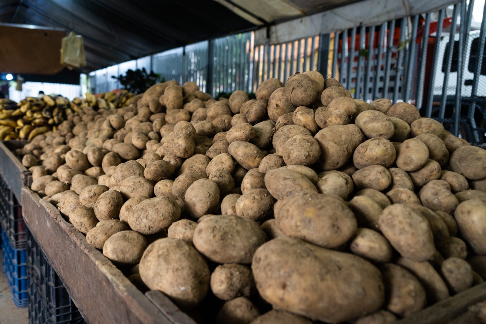 Precios compradores vendedores trabajos informales comercio comercios Canasta Básica Alimentaria Verduras, Frutas y Hortalizas Mercado mercados a cielo abierto Catia supermercados Ferias de hortalizas venezolanos calidad de alimentos ofertas economía