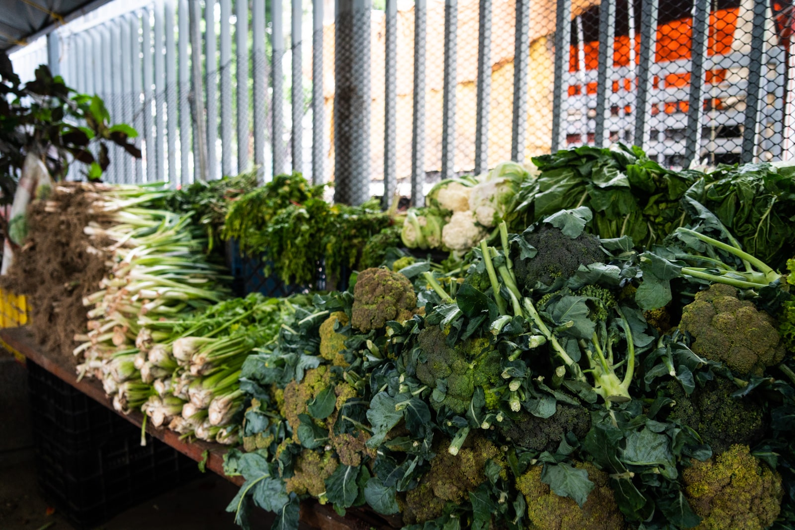 Precios compradores vendedores trabajos informales comercio comercios Canasta Básica Alimentaria Verduras, Frutas y Hortalizas Mercado mercados a cielo abierto Catia supermercados Ferias de hortalizas venezolanos calidad de alimentos ofertas economía
