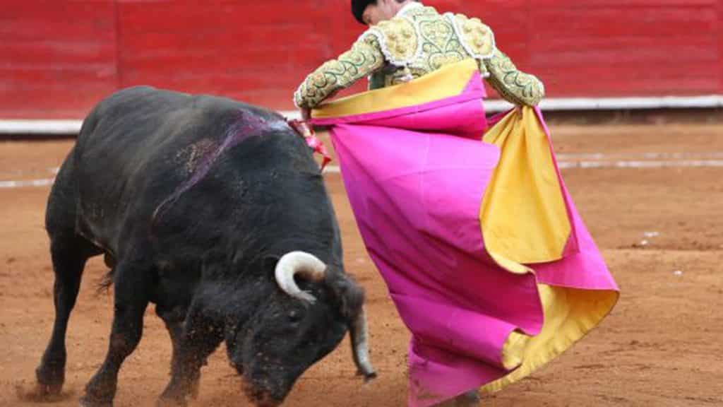 Suspendidas definitivamente las corridas de toro de la Plaza de Ciudad de México: los detalles 
