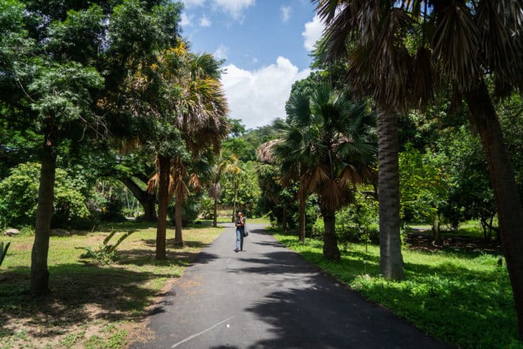 Jardín Botánico de Caracas UCV plantas zona verde parque árboles jardines biología El Diario Jose Daniel Ramos