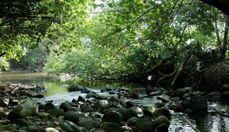 Madre e hija venezolanas murieron al intentar cruzar la selva del Darién