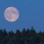 Superluna de Ciervo: ¿cuándo se podrá ver en Venezuela?