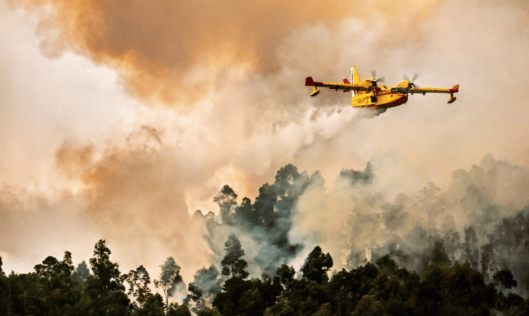Incendios forestales en España han arrasado con más de 225.000 hectáreas