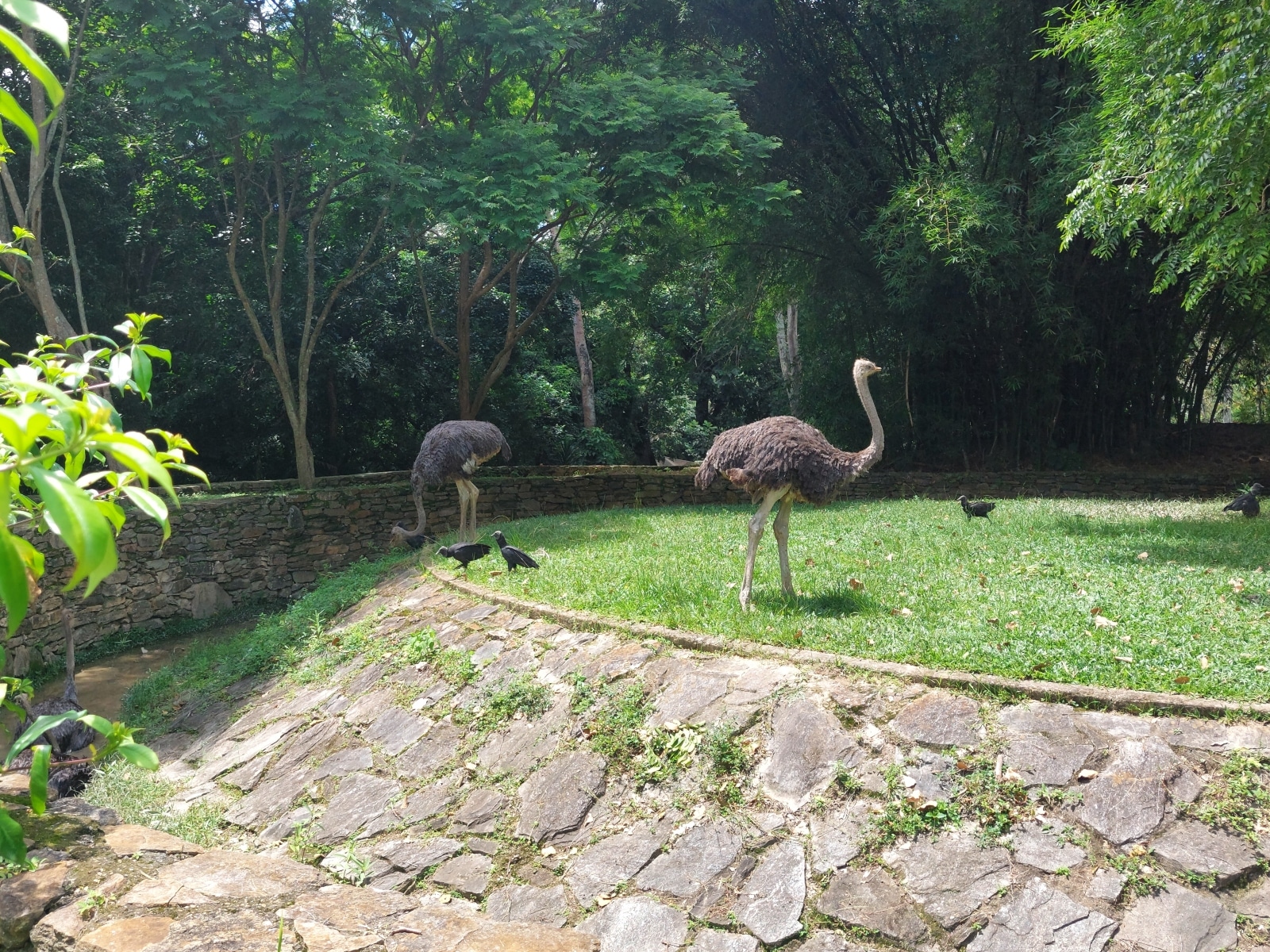 Día del Niño en Venezuela ¿qué hacer en Caracas?