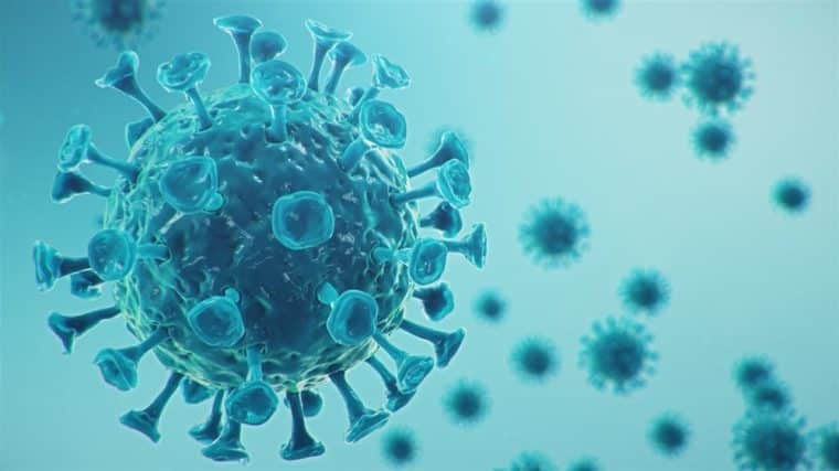 Virus langya: lo que se sabe de la nueva enfermedad que surgió en China