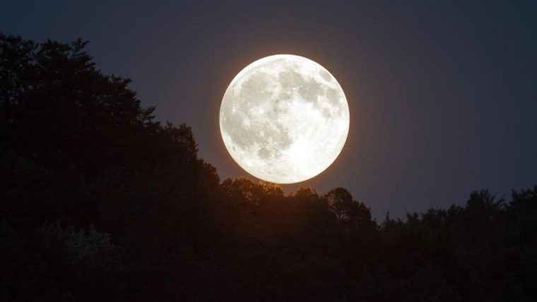 Cuándo y cómo ver Esturión, la última superluna del año