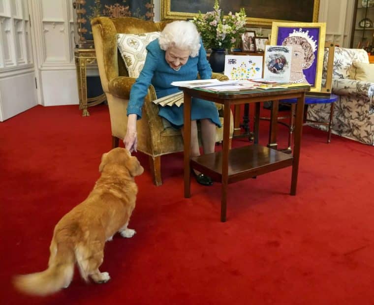 ¿Qué pasará con los perros corgis de la reina Isabel II?