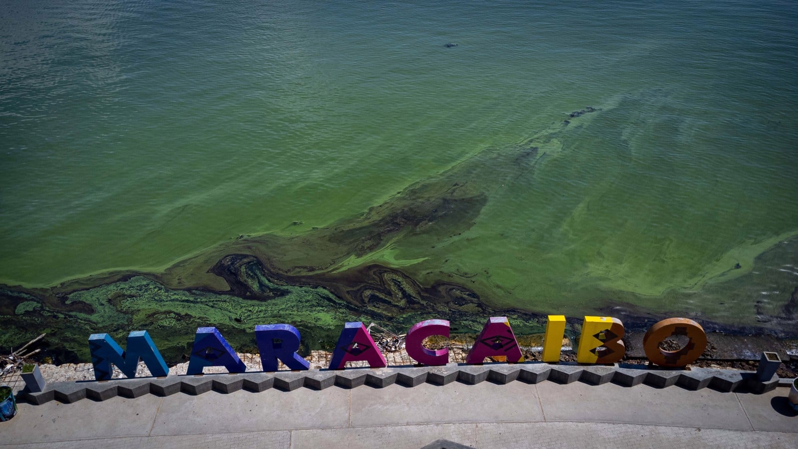 Derrames de petróleo: una enfermedad crónica en las aguas de Venezuela￼