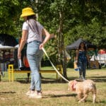 Yo adopto jornada de adopción de perros y gatos en Caracas Refugio El Valle parque mascotas Vizcaya El Diario Jose Daniel Ramos
