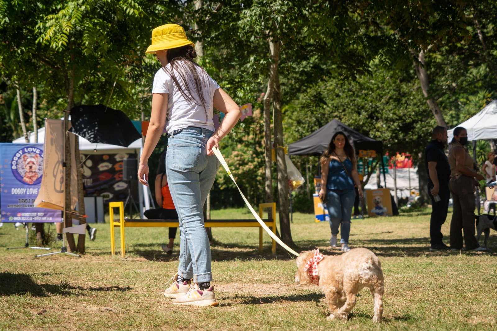 Yo adopto jornada de adopción de perros y gatos en Caracas Refugio El Valle parque mascotas Vizcaya El Diario Jose Daniel Ramos