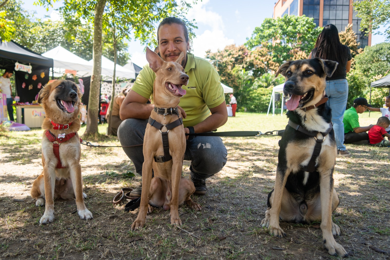 Yo adopto jornada de adopción de perros y gatos en Caracas El Diario Jose Daniel Ramos