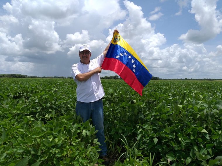 Fedeagro: productores de maíz de Venezuela están en riesgo de irse a la quiebra