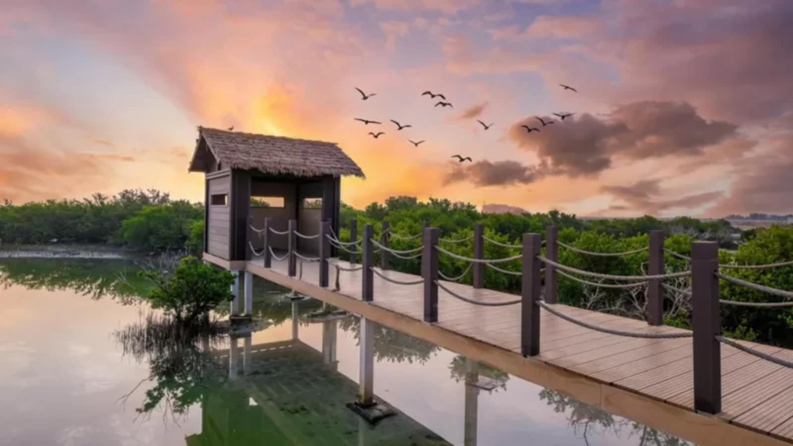 La Isla Púrpura de Catar que les dio a los ricos y poderosos el color que más codiciaban
