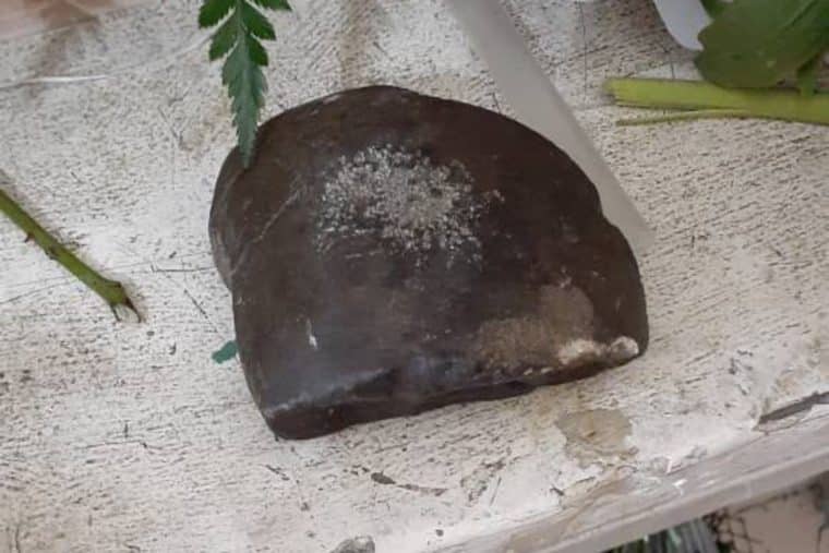 Detuvieron a un hombre por lanzar una piedra contra la reliquia de La Chinita en Maracaibo