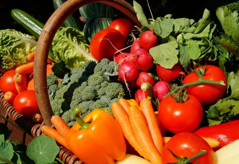 Alimentación vegana: ¿cómo llevar este estilo de vida de forma saludable?