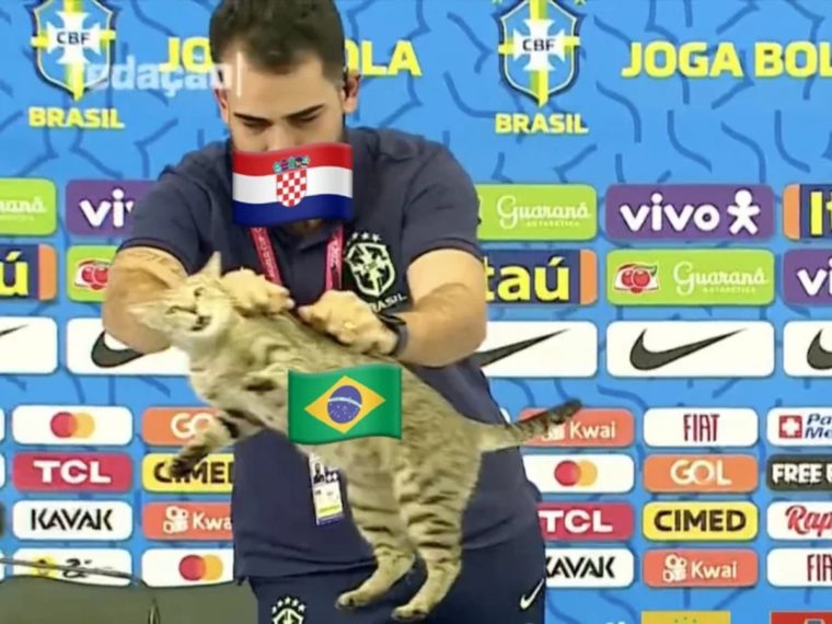 ¿Qué se sabe del gato que lanzó el jefe de prensa de la selección de Brasil y que se hizo viral en redes sociales?