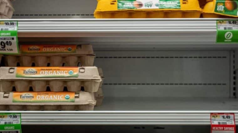 Por qué se ha disparado el precio de los huevos en EE.UU. (y se han convertido en objeto de contrabando desde México)