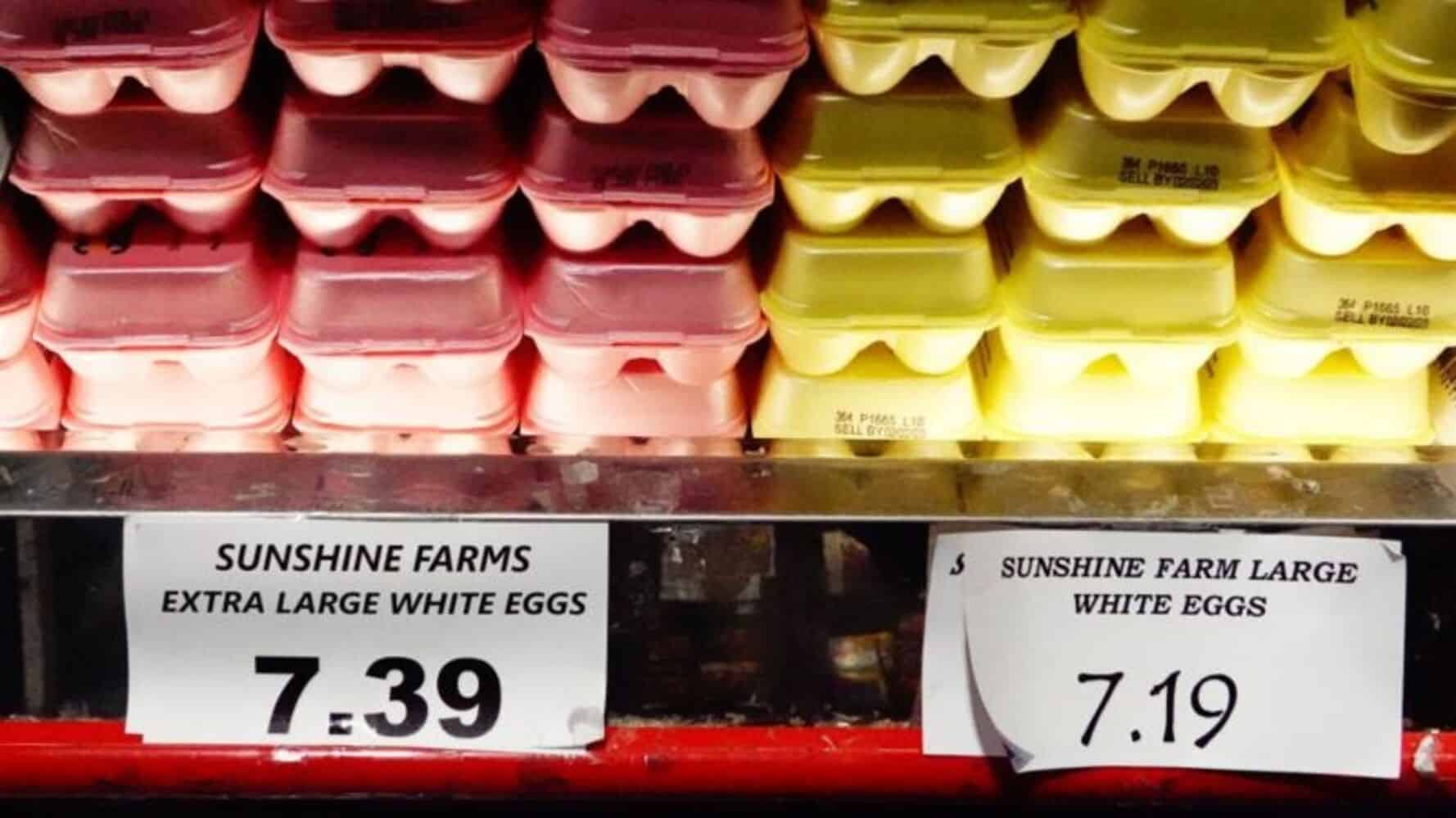 Por qué se ha disparado el precio de los huevos en EE.UU. (y se han convertido en objeto de contrabando desde México)