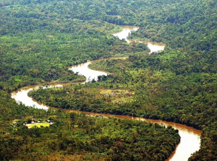 Consideraciones sobre la Amazonía venezolana ante la agenda global de cambio climático