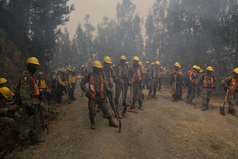 Los testimonios de los damnificados por la ola de incendios en Chile: “Se perdió todo, fue un infierno”