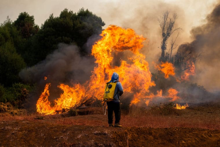 Los testimonios de los damnificados por la ola de incendios en Chile: “Se perdió todo, fue un infierno”