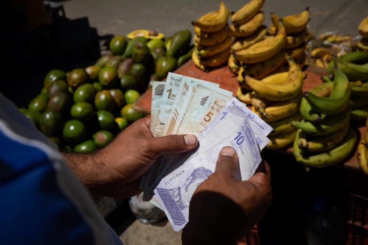 Colombia prohibió el ingreso de plátanos desde Venezuela por el hongo Fusarium: ¿qué implica esta medida?