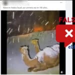 ¿Se registró por primera vez en 100 años una nevada en Arabia Saudita?