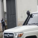 Borrador automático