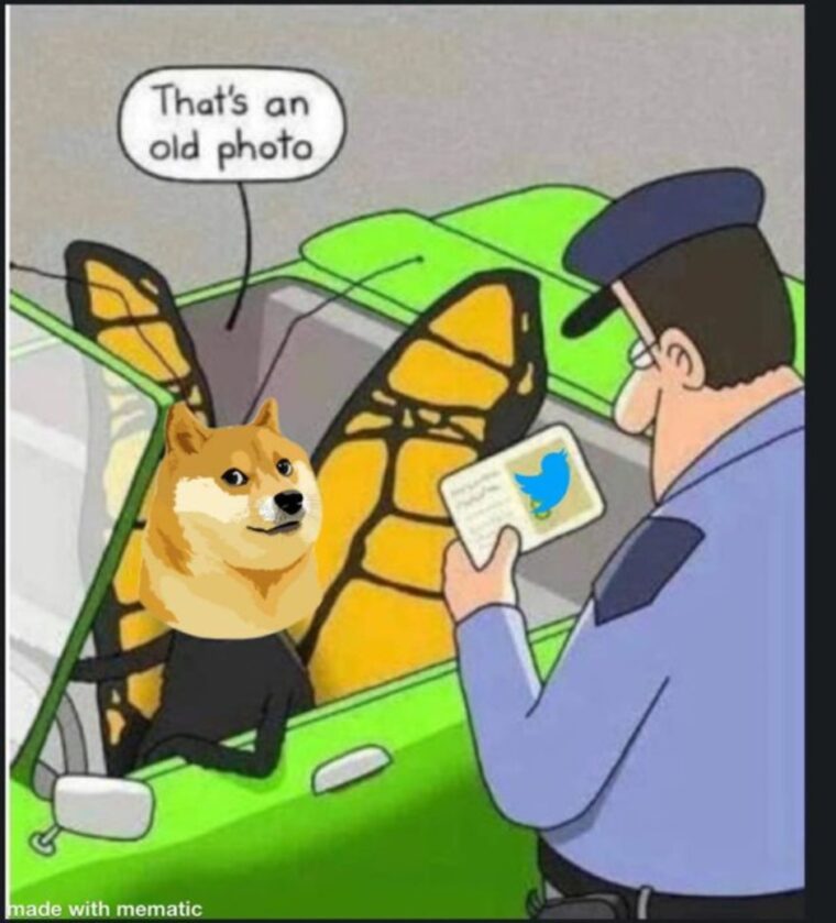¿Por qué Twitter usó la imagen de dogecoin como su logo principal?