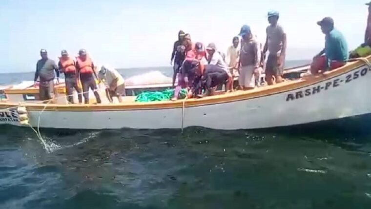 Autoridades buscan a tres pescadores desaparecidos en Vargas