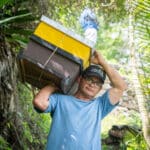 José Guerrero Apicultor, ApiRescate, Cortada del Guayabo, Apicultura, Apicultor, Abejas, Miel, Colmena, Productos apícolas, Polinización, Agricultura sostenible, Cosecha de miel, Beneficios de la miel, Alimentación de las abejas, Enjambre de abejas, Propóleo, Apiterapia, Criar abejas, Rescate de abejas, Conservación de abejas, Salvamento de colmenas, Apicultura urbana, Protección de polinizadores, Apicultura sostenible, Refugio de abejas, Restauración de hábitats de abejas, Polinizadores en peligro, Conservación de la biodiversidad, Abejas en riesgo, Preservación de la población de abejas, Apoyo a los polinizadores, Rescate de enjambres de abejas, Educación sobre la importancia de las abejas, El Diario Jose Daniel Ramos