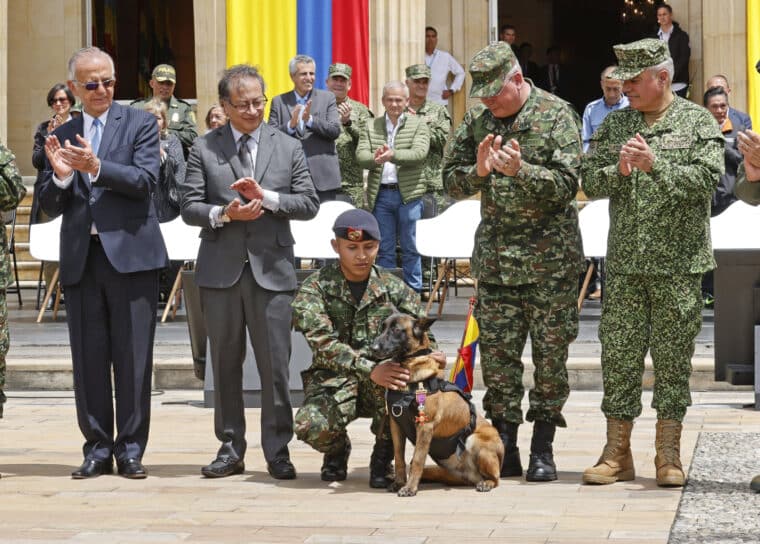 Cancelaron la búsqueda de Wilson, el perro que ayudó en el rescate de los niños perdidos en la selva de Colombia