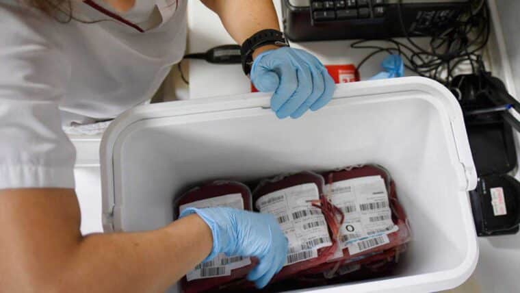 ¿Quiénes pueden donar sangre en Venezuela y cuáles son los requisitos?