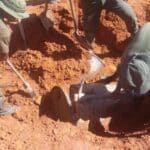 Autoridades hallaron 44.000 litros de gasolina enterrada en el estado Bolívar