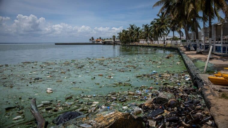 En imágenes: la contaminación pinta de verde el lago de Maracaibo