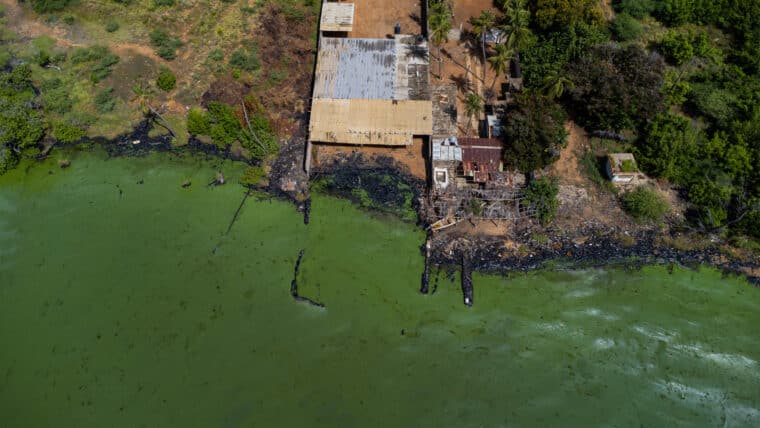 En imágenes: la contaminación pinta de verde el lago de Maracaibo