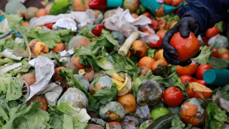 FAO: se pierden 400 millardos de dólares se pierden anualmente por desperdicios de alimentos