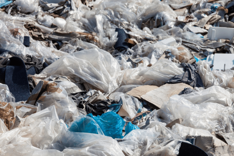 ¿Por qué es importante frenar el uso de las bolsas plásticas de un solo uso?