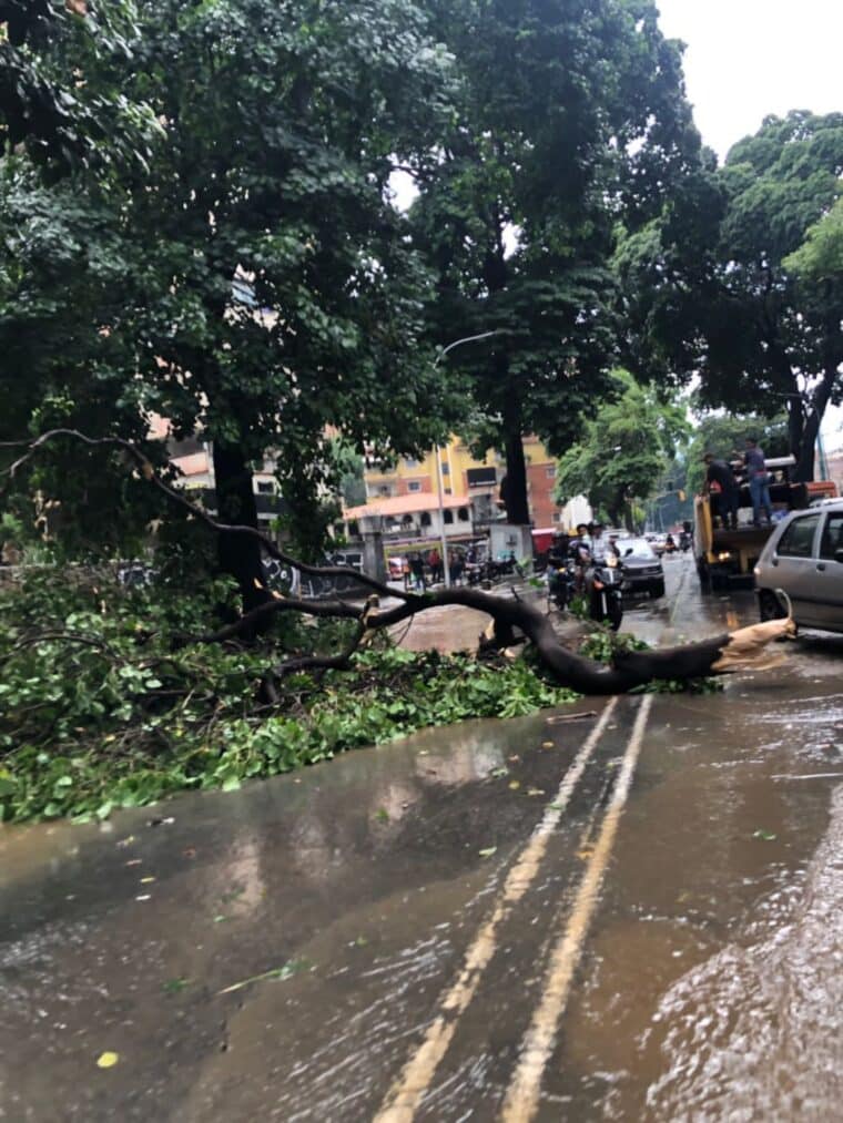 Lluvias provocaron inundaciones y árboles caídos en zonas del Distrito Capital