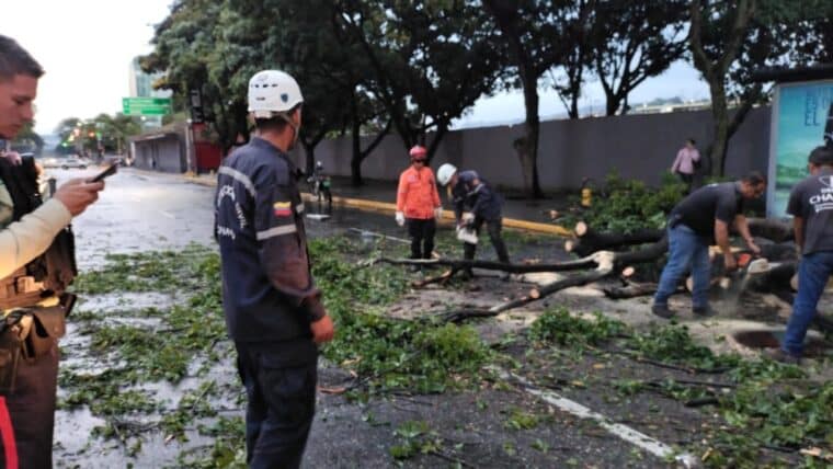 Al menos un muerto y decenas de árboles caídos por los ventarrones en Caracas