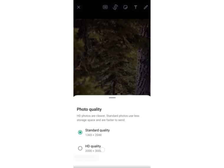 WhatsApp ahora permite enviar fotos de alta resolución: ¿cómo hacerlo?