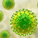 Qué es Nipah: el virus que mantiene en alerta a las autoridades de Asia