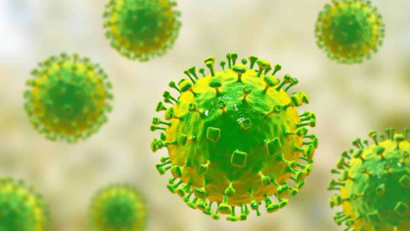 Qué es Nipah: el virus que mantiene en alerta a las autoridades de Asia