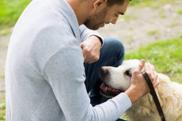 Un estudio explica los riesgos de besar a los animales domésticos