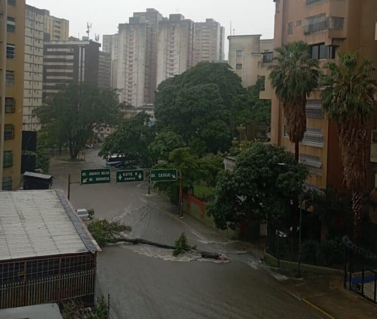En imágenes: lluvias provocaron la caída de árboles y anegaciones en Caracas