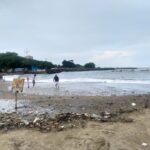 Reportan mar de fondo en playas de La Guaira: los detalles