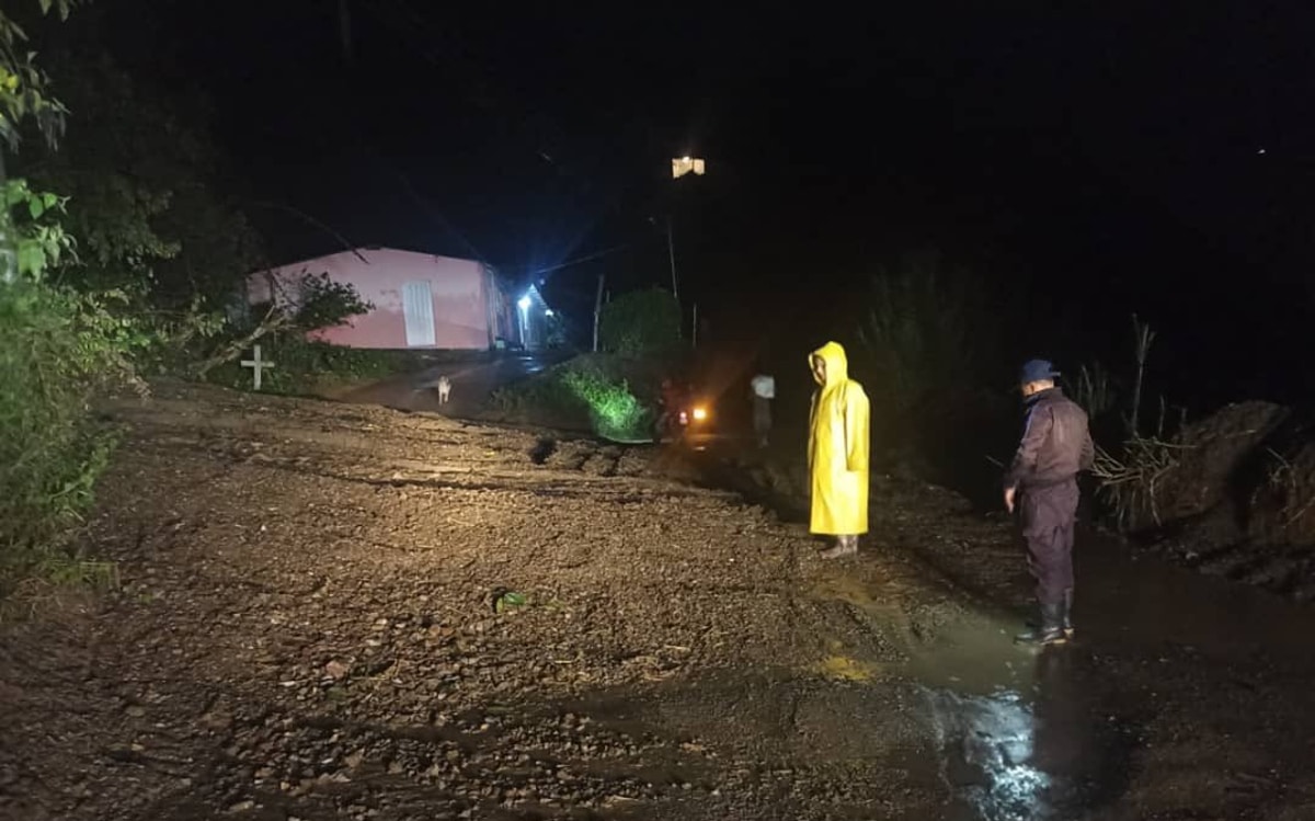 Lluvias en Mérida dejaron un total de 21 árboles caídos
